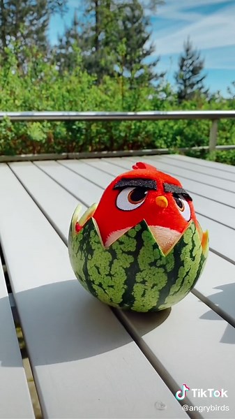 Angry Bird Summer Meltdown: Don't Disturb Him! 🍉😡🥺