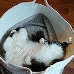 INDRESSME Extra Large Woven Baskets for Storage, 21.7 x 13.8 Blanket Basket Living Room Wicker Storage Basket for Organizing Woven Laundry Baskets for Toy Pillow Shoe, Entryway, Black Jute