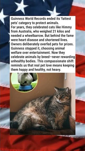 GUINNESS ENDS FATTEST PET RECORDS🙏