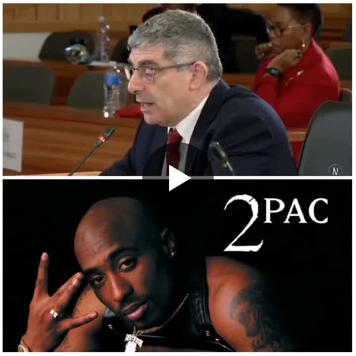 Word Of The Day: Be The Last Man (or Woman) Standing (Pardon The French)!🤷🏽‍♂️ Firstly I never thought I would hear my fave Tupac s lyrics being quoted I the Madlanga Commission. I was never… | Dr. Alvin Chikamba DBL (UNISA) CA (SA)