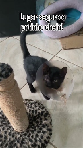 Não deixem de ajudar agora no fim de ano #vamosfrajolar