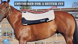 115K views · 1.2K reactions | What is important to YOU when choosing a saddle pad? World Champion Patrick Smith shows us how saddle pads effect our horses and their comfort. | Professional's Choice | Facebook