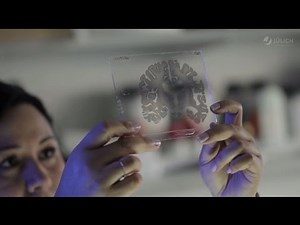 The Human Brain Project
