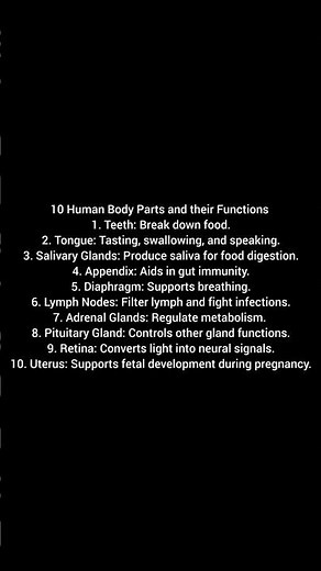 10 Human Body Parts and their Functions