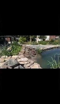 Do you Sleep 😴 Peacefully at night? Might just need a Beautiful 🤩 Pond next to your window #koi