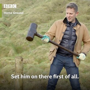 Gavin Andrews travels to the Giant's Causeway to help the National Trust prepare for the return of grazing cattle to the bay after almost half a century 🔨 Home Ground is on BBC One NI tomorrow night at 8.30PM | BBC Northern Ireland
