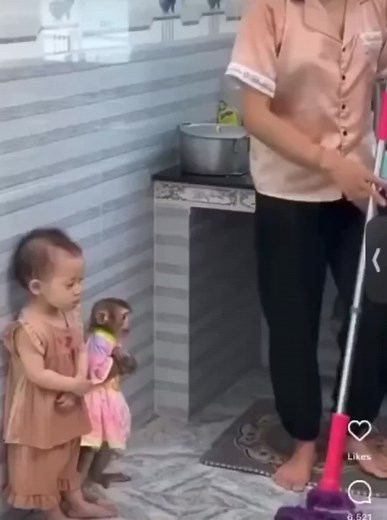 ain't yo mama a janitor at the high-school