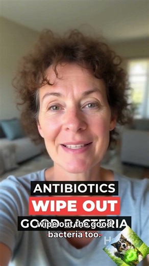 My vet never told me this about dog digestion