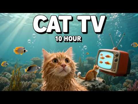 CAT TV 24/7 🐠 Aquarium Fish Videos for Cats to Watch | No Ads Live Loop