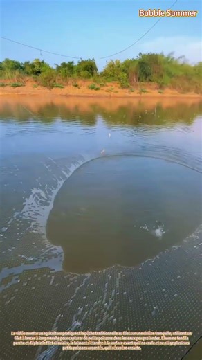 Pêche au lancer : la pêche au filet pour capturer de petits poissons dans des eaux calmes