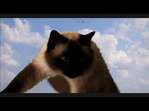 DOGZILLA VS. CATHRA - A 2009 Fantastic Fest Bumper
