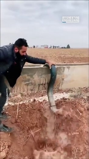 985K views · 9.8K reactions | A water source, a siphon tube and priming are the only things required to use this method for irrigation. | Interesting Engineering | Facebook