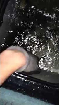 Fish Flopping Out Of Water