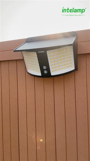 Solar Light Turns On When You Walk By — Auto Off After 30 Seconds #intelamp #solarlight
