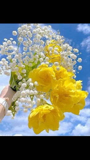 🥀💕🦁Raja Hutan🦁💕🥀 (@lionmonkey35)’s videos with original sound - gypeco_official - Mayang💋