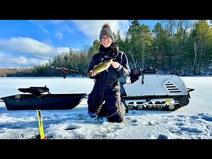 Snowdog | early ice | the woman