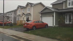 525K views · 1.8K reactions | CBC Viewer Video Of The Day! Great video of a great big bull moose who was no doubt chasing a cow in Airport Heights on Saturday. Make sure you watch until 0:23 seconds in! Courtesy of David Mitchell (Commentary provided by Debbie Cooper & Jonathan Crowe & yours truly :) ) | Ryan Snoddon | Facebook