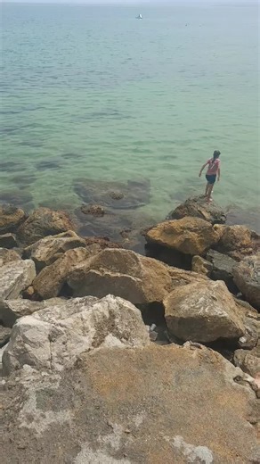 #tik_tok #siri #🕊 #سطورة_سكيكدة #🇩🇿🇫🇷🇨🇦