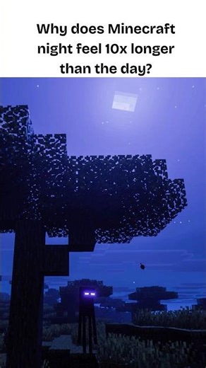 Why does Minecraft night feel 10x longer than the day?