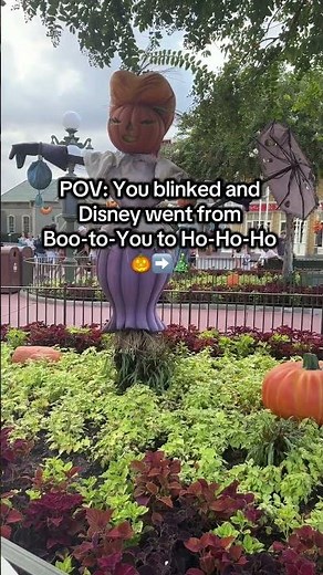From Trick-or-Treat 🎃 to Ho Ho Ho 🎄 Overnight — Only at Disney!