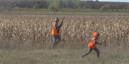 South Dakota Game, Fish and Parks hosting virtual class to prepare for Pheasant Opener