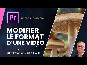 Comment modifier la taille ou redimensionner une vidéo dans Première Pro ?