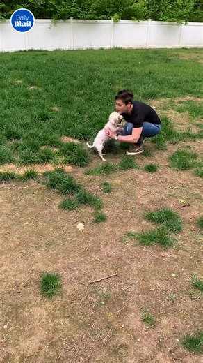 She's finally getting the love she deserves ❤️ | Daily Mail Video