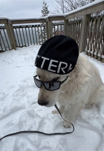 Proper fit that 😤 #arcteryx #fyp | Arc'teryx