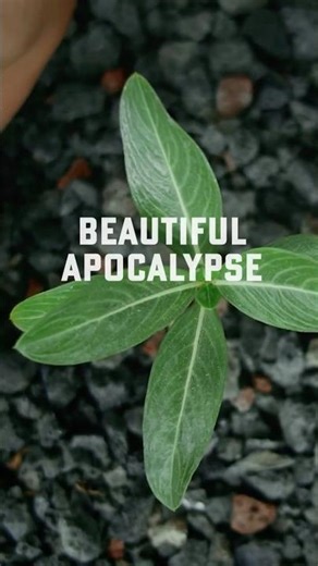 “We Can Change This Story” | Beautiful Apocalypse Lyrics | Charlie Castell
