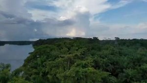 From the majestic bonobos to the elusive okapis and the vibrant birdlife, the Congo Rainforest is teeming with life. But this rich biodiversity is under threat from deforestation, habitat loss, and illegal poaching. 💔 As we celebrate World Environment Day, let us remember the importance of preserving the Congo River Basin and its invaluable carbon reserve. Protecting this ecosystem is essential for preserving species and combating climate change. Join us today in honoring and conserving the Con