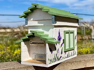 How to build a BEEHIVE from Scratch using pallet 🐝 Beehive diy for osservation