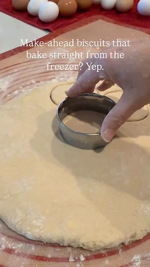 Recipe written here👇🏼 or comment “BISCUIT” for the printable recipe! For freezing the biscuits: cut them out then place them on a baking sheet. Flash freeze them for 2-3 hours and then place in a ziplock freezer bag. When you’re ready to bake them, remove them from the freezer, do not thaw them, and place them on a baking sheet. Brush them with melted butter and bake as the recipe directs. Flaky Biscuits: 3 cups finely milled kamut einkorn or soft white wheat(hard white wheat will work too) 2 