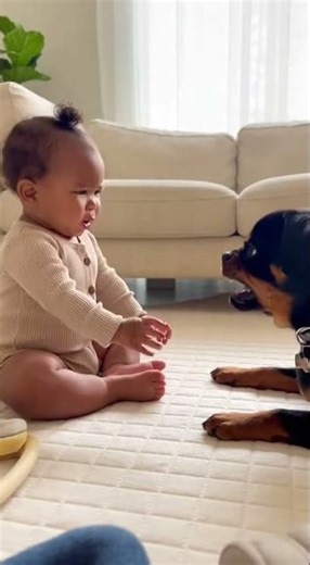 This Baby vs Dog Showdown Is Hilariously Adorable