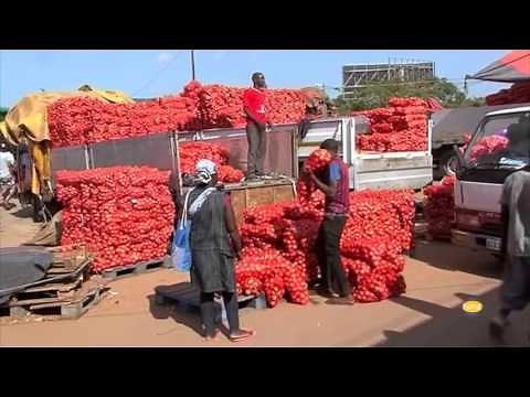COLONEL MHLONGO-MACHANGANA