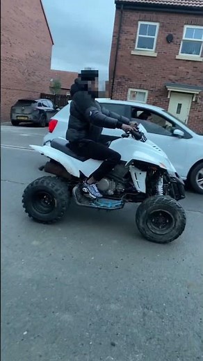 Quadzilla dinli 450