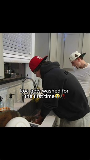 Twitch: AceAkers #aceakers #twitch #viral #ace | ace