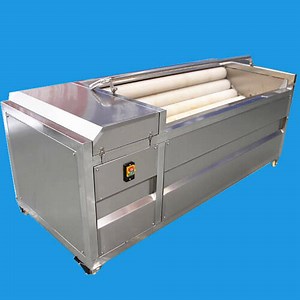 Brush Type Root Vegetable Washing Peeling Machine for Sale with Lowest Cost