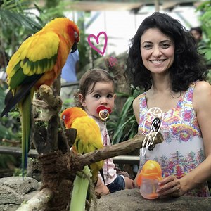 6.3K views · 106 reactions | A tropical rainforest in the midst of a...