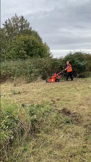 Overgrown land clearing of brambles and long grass