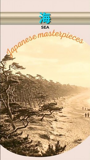 海🌊Sea【日本の名曲】 #音楽 #music #癒し #歌詞動画 #夏 #shorts #唱歌