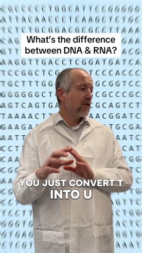 Let’s go back to biology basics with Momo! Keeping it simple otherwise we’ll have a whole textbook on our hands 💁🏼‍♂️📖 #DNA #RNA #biology #anatomyandphysiology #biochemistry #genetics #Biology101 #science #scientist | Viome