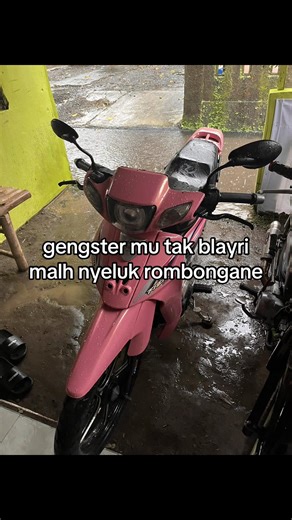 Exploring Gengster Mu: A Muscial Journey