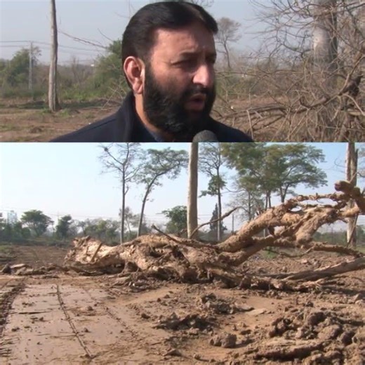 Corruption Development Authority ruined the beauty of Islamabad