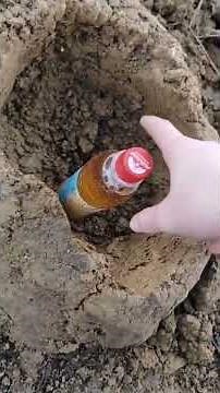 Erdkeller im Lager bauen