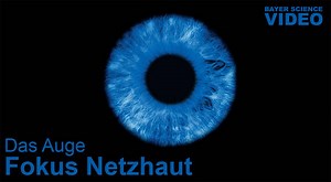 2.6K views · 98 reactions | Bayer Science Video: Das Auge Die Augen sind unser Fenster zur Welt: Die Netzhaut bildet eine Projektionsfläche für das, was wir sehen. Doch im Alter drohen die Sehzellen dieser Schicht abzusterben. Einer der häufigsten Gründe: die altersbedingte Makuladegeneration. Aber auch Diabetes kann die Augen schädigen. Bayer-Forscher arbeiten an neuen Therapien für diese Krankheitsbilder. | Bayer Deutschland | Facebook