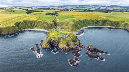 Spektakulärer Fund aus der Urzeit: Acht Meter groß – Forscher rätseln über völlig neue Lebensform