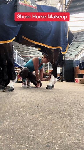 Stunning Show Horse Makeup Tutorial - Step-by-Step Guide