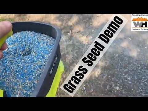 REAL LIFE DEMO: Spreading Grass Seed With The Ryobi 18V One+ Power Spreader #RyobiToolsUSA