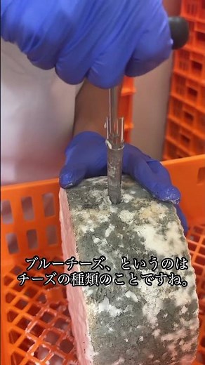The difference between Gorgonzola and blue cheese
