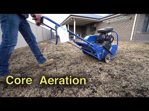 How To Core Aerate Your Lawn | Lawn Renovation